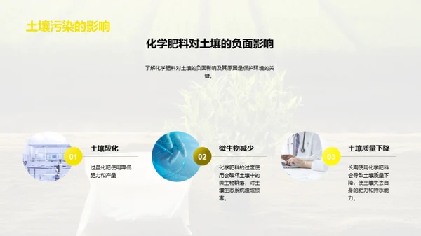 化学肥料的合理使用与环境保护