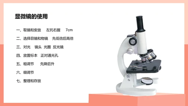 血流的管道，血管课件PPT模板.ppt