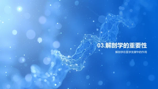 人体器官解剖讲座PPT模板