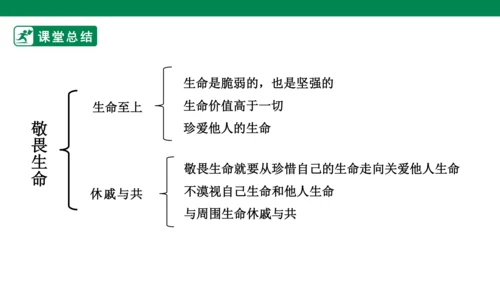 8.2敬畏生命 课件