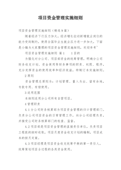 项目资金管理实施细则.docx