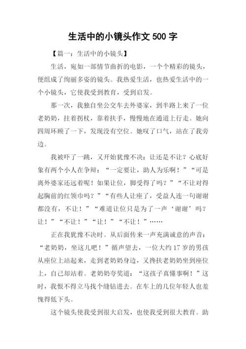 生活中的小镜头作文500字.docx