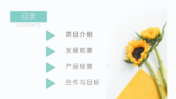 向日葵述职报告通用PPT模板