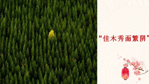 第12课《醉翁亭记》课件