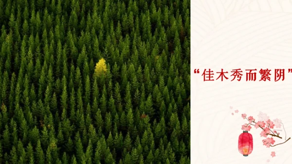 第12课《醉翁亭记》课件