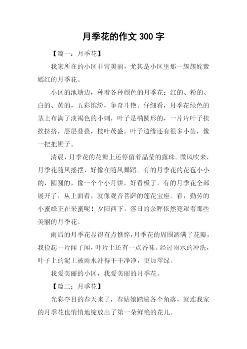 月季花的作文300字-2.docx