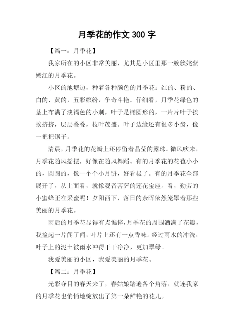 月季花的作文300字-2.docx