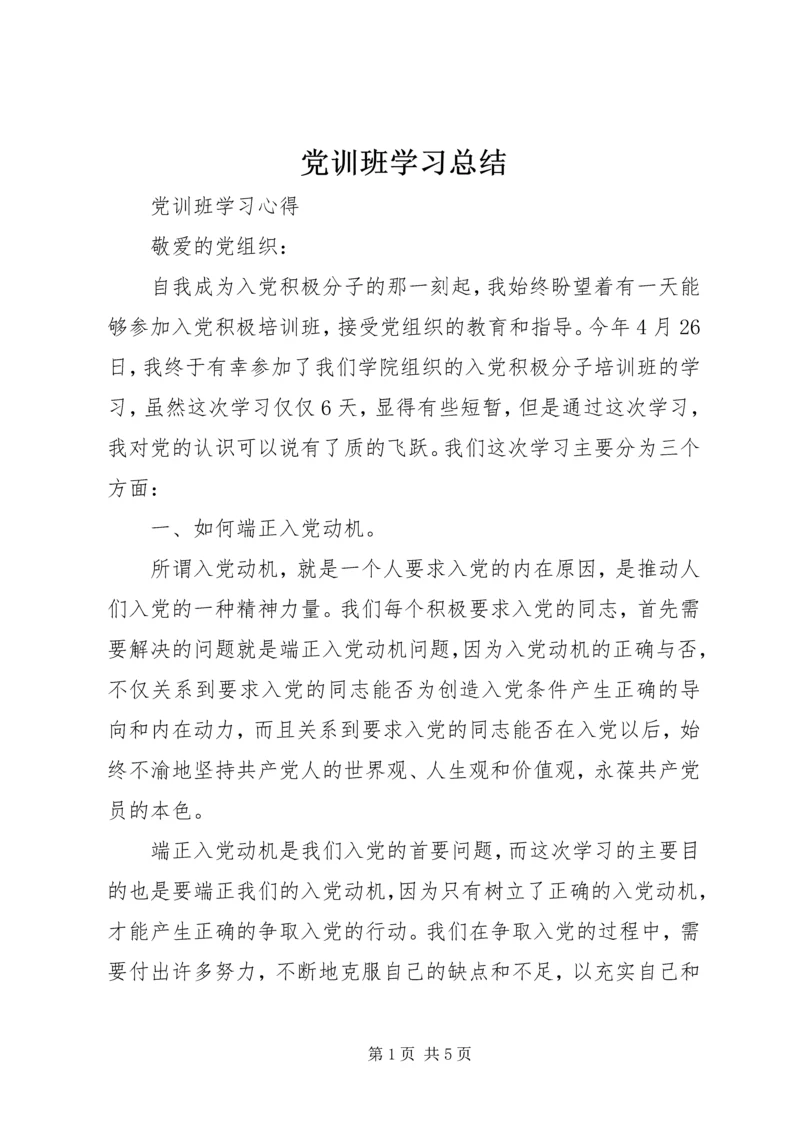 党训班学习总结.docx