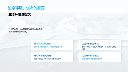 生态环境之魅力