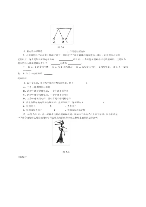 初中物理专题2第1章电流和电路