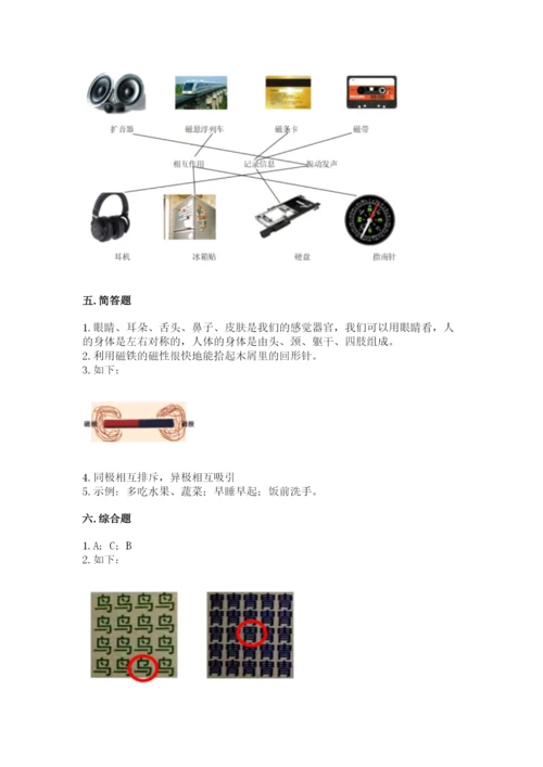 教科版小学科学二年级下册 期末测试卷（名师推荐）.docx
