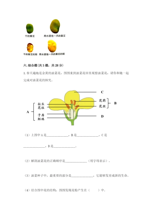 科学四年级下册第一单元《植物的生长变化》测试卷带答案（研优卷）.docx