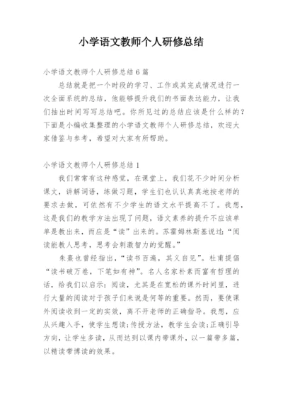 小学语文教师个人研修总结.docx