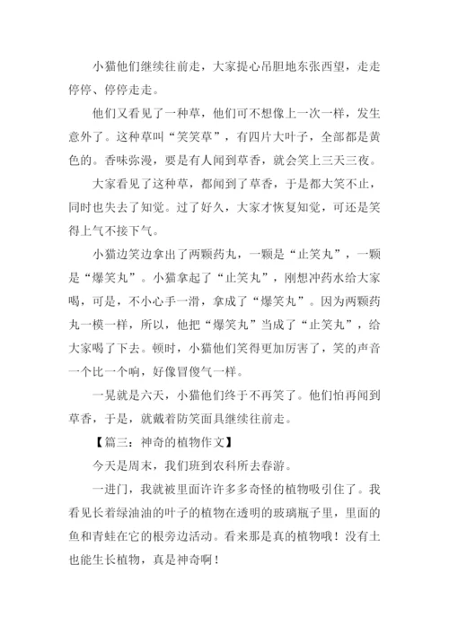 神奇的植物作文.docx