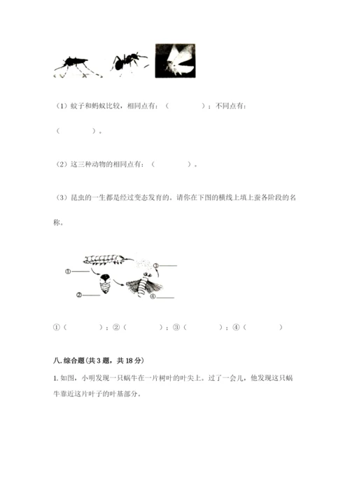 教科版科学三年级下册期末测试卷含完整答案（历年真题）.docx
