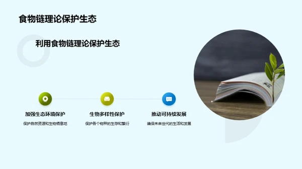 深度解析食物链