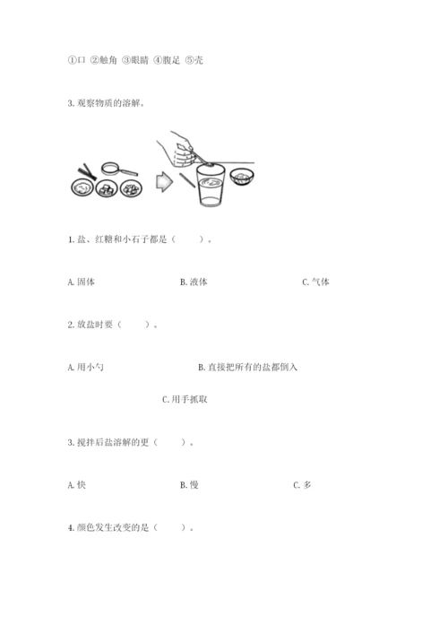 教科版小学科学一年级下册期末测试卷1套.docx