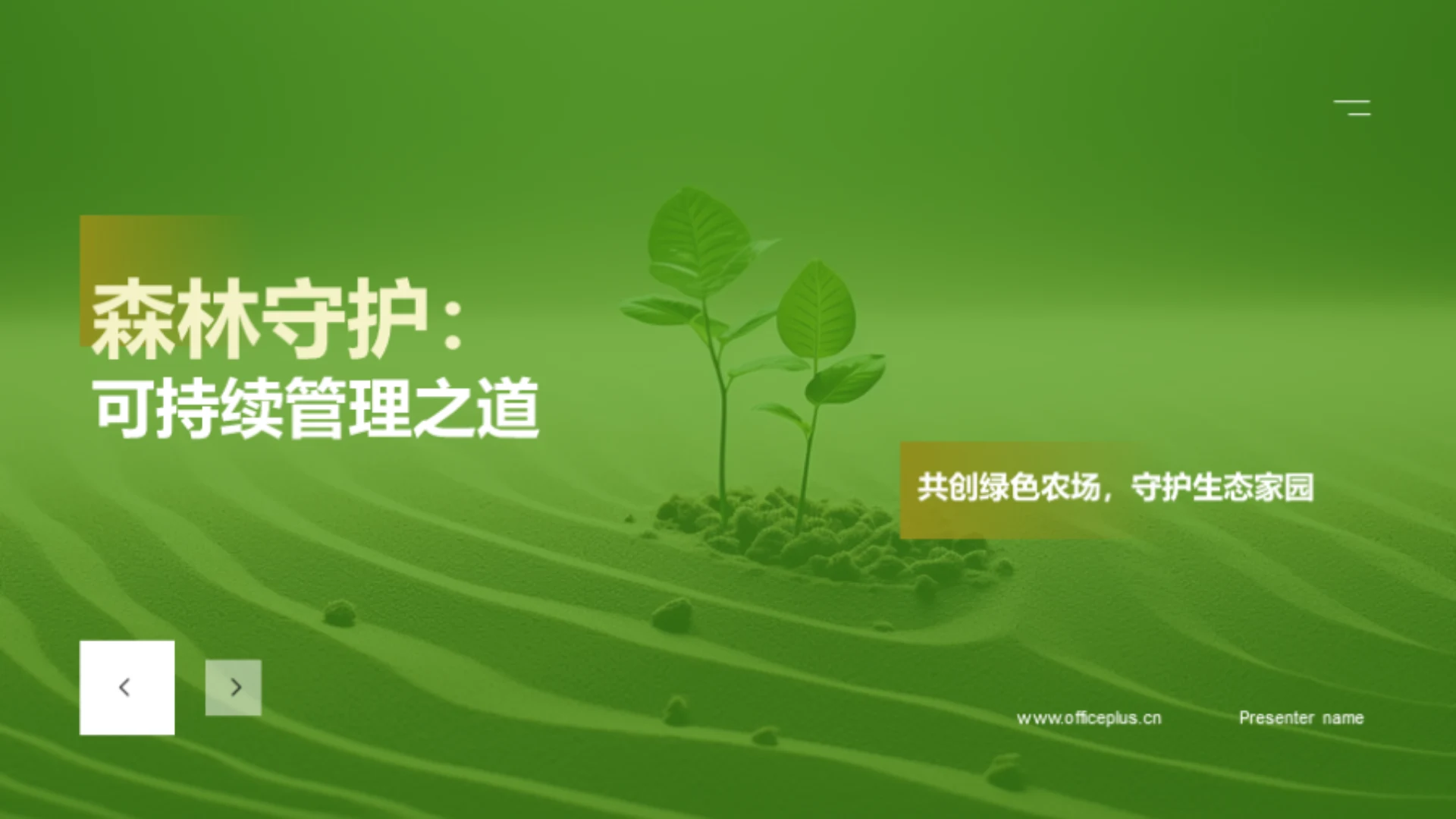 森林守护：可持续管理之道