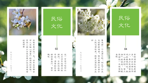 春分春天的白花通用PPT模板