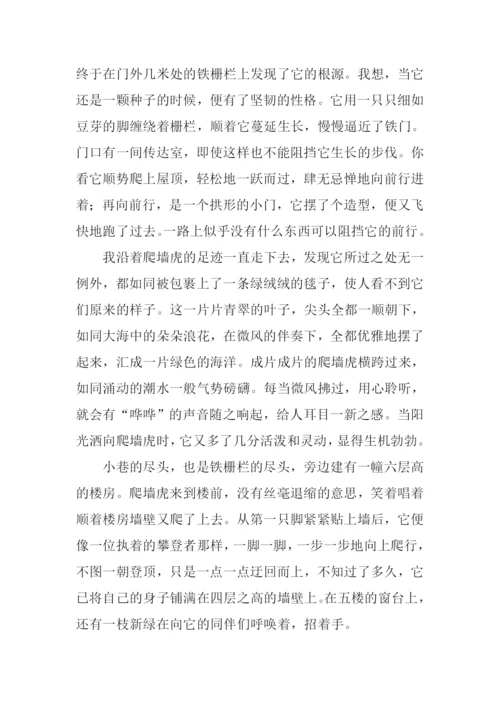 关于什么在其中作文.docx