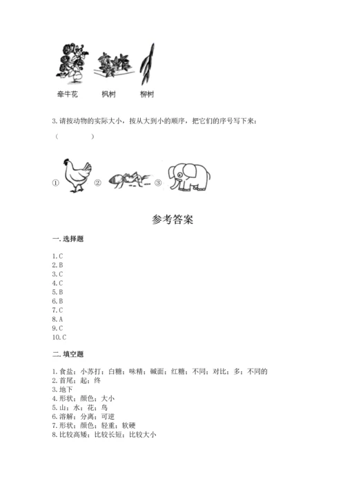 教科版小学一年级上册科学期末测试卷【含答案】.docx