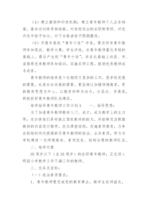 培养、指导青年教师工作计划.docx