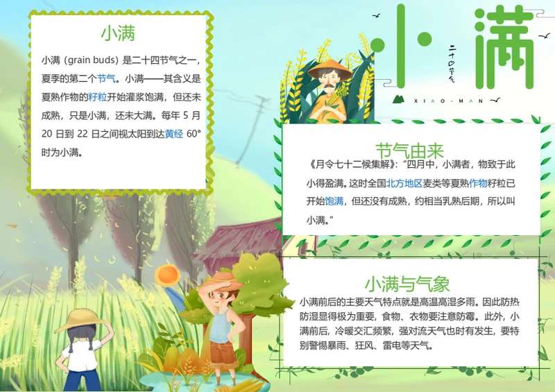小满二十四节气小报