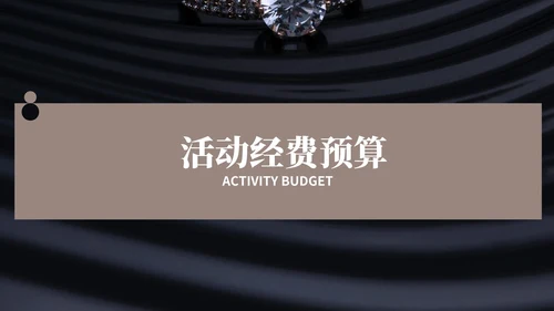 黑色画册风珠宝首饰元旦促销方案PPT模板