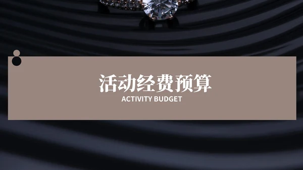黑色画册风珠宝首饰元旦促销方案PPT模板