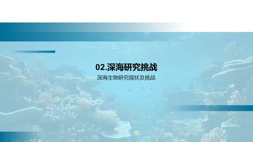 探秘深海生物世界