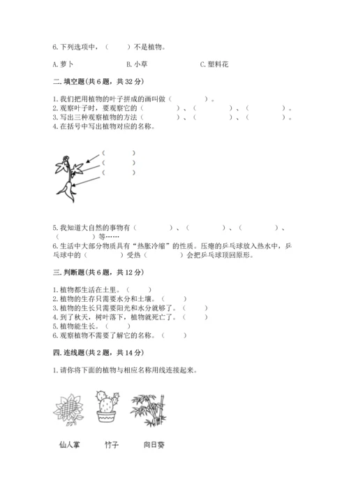 教科版科学一年级上册第一单元《植物》测试卷及1套完整答案.docx