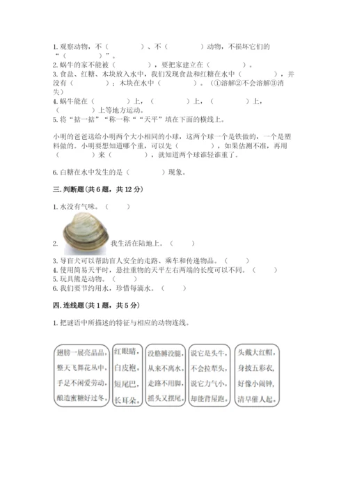 教科版小学科学一年级下册期末测试卷（达标题）.docx