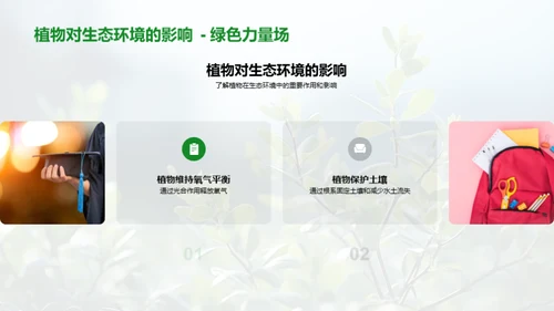 植物的秘密世界