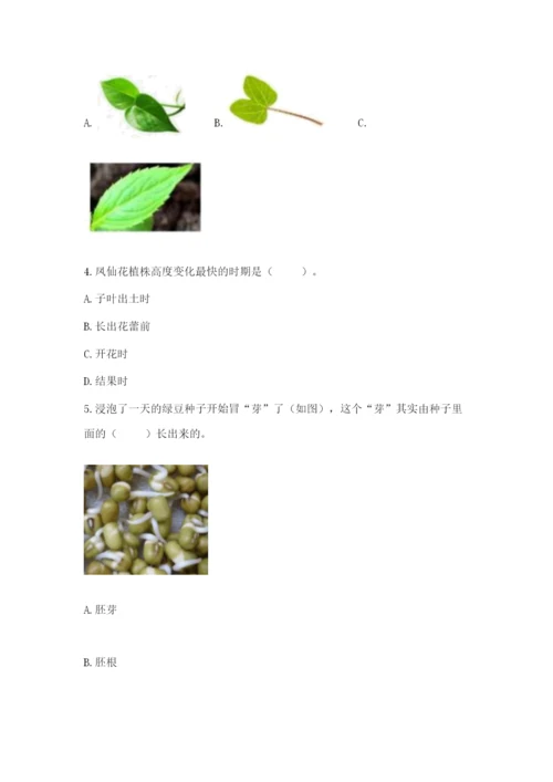 科学四年级下册第一单元《植物的生长变化》测试卷（名师系列）.docx