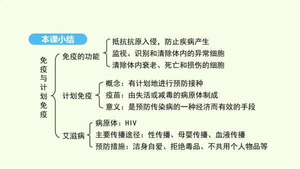 8.1.2.2免疫与计划免疫（第二课时）课件-人教版生物八年级下册(共27张PPT)