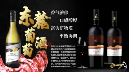 塞上江南古丝绸之路魅力宁夏家乡通用PPT模板