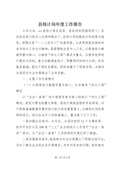 县统计局年度工作报告 (3).docx