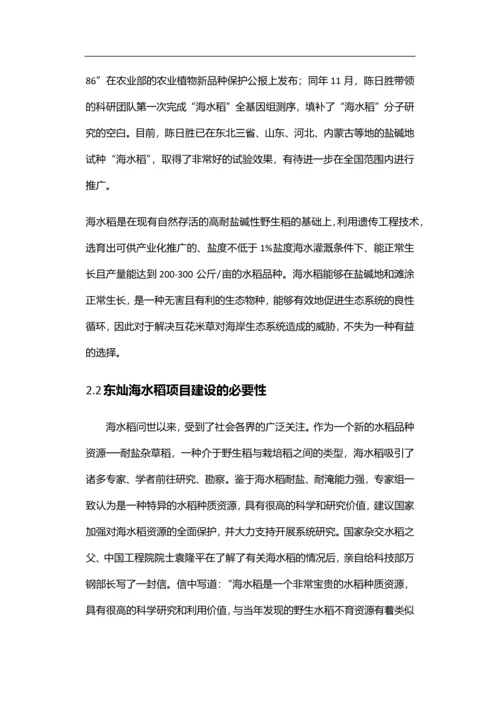 东灿海上水稻项目商业计划书.docx