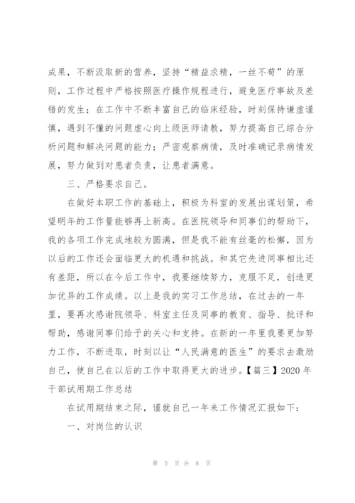 2020年干部试用期工作总结.docx