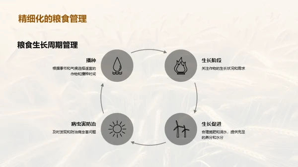 小满季节粮食科学管理