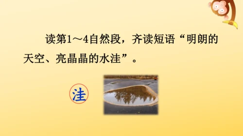 5《铺满金色巴掌的水泥道》   课件