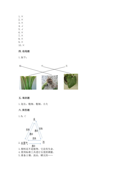 教科版科学一年级上册期末测试卷精品（综合题）.docx