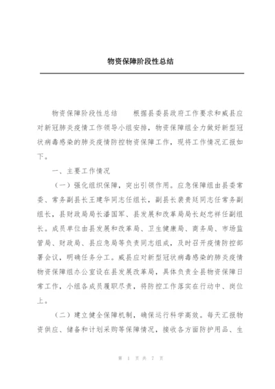 物资保障阶段性总结.docx