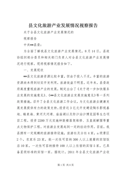 县文化旅游产业发展情况视察报告.docx