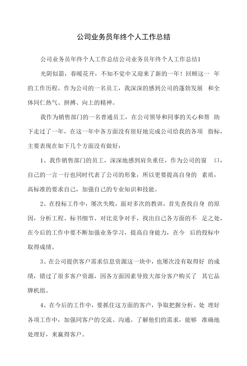 公司业务员年终个人工作总结.docx