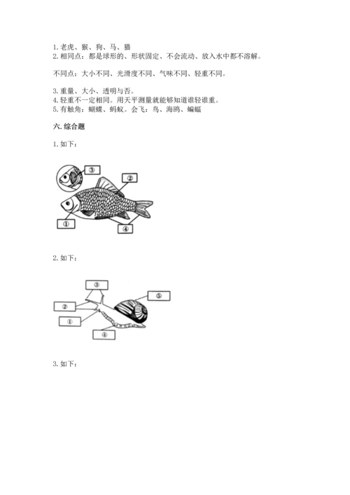 教科版一年级下册科学期末测试卷含下载答案.docx