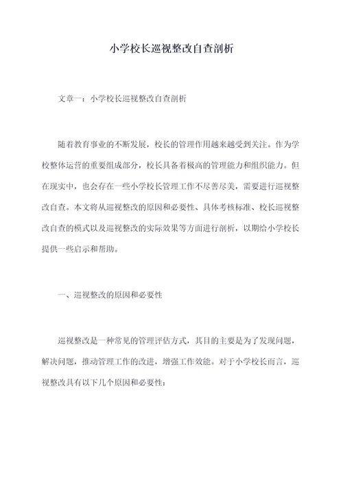 小学校长巡视整改自查剖析