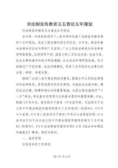 市法制宣传教育五五普法五年规划 (4).docx