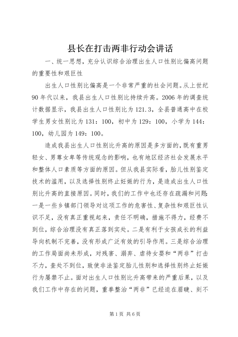 县长在打击两非行动会讲话.docx