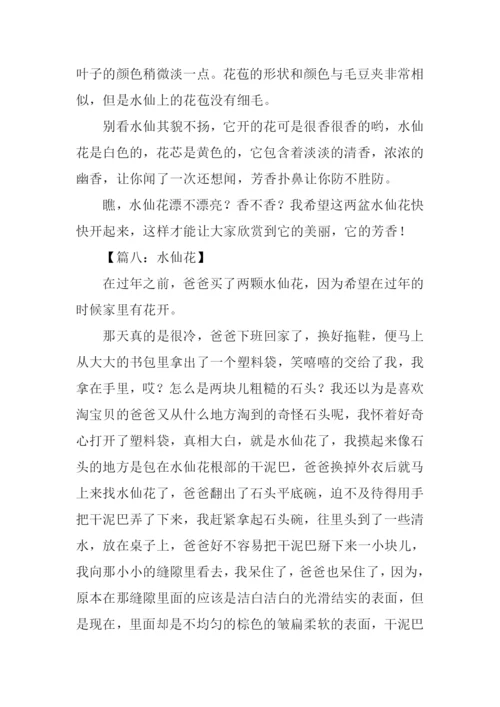 水仙花作文开头.docx